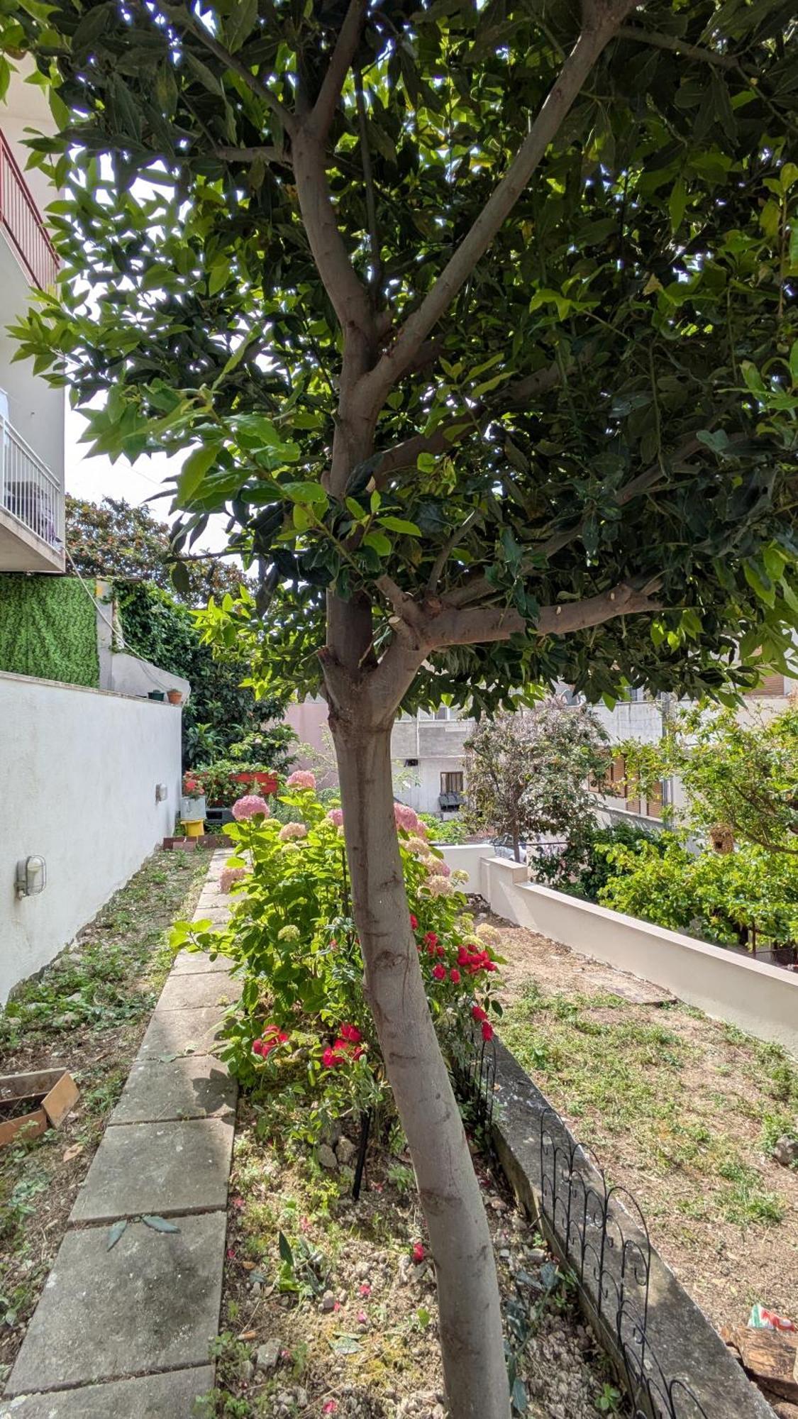 Misho Apartment With Terrace Σπλιτ Εξωτερικό φωτογραφία